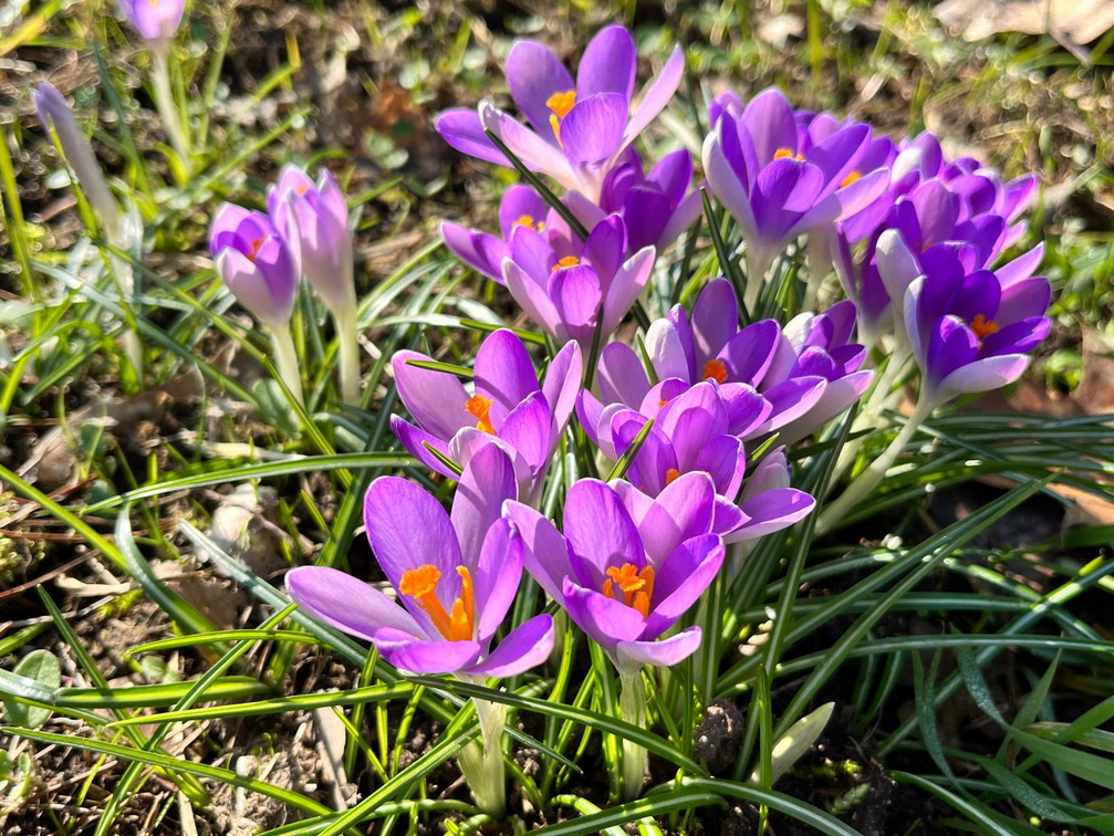 23-02-13 12-31-44 4175